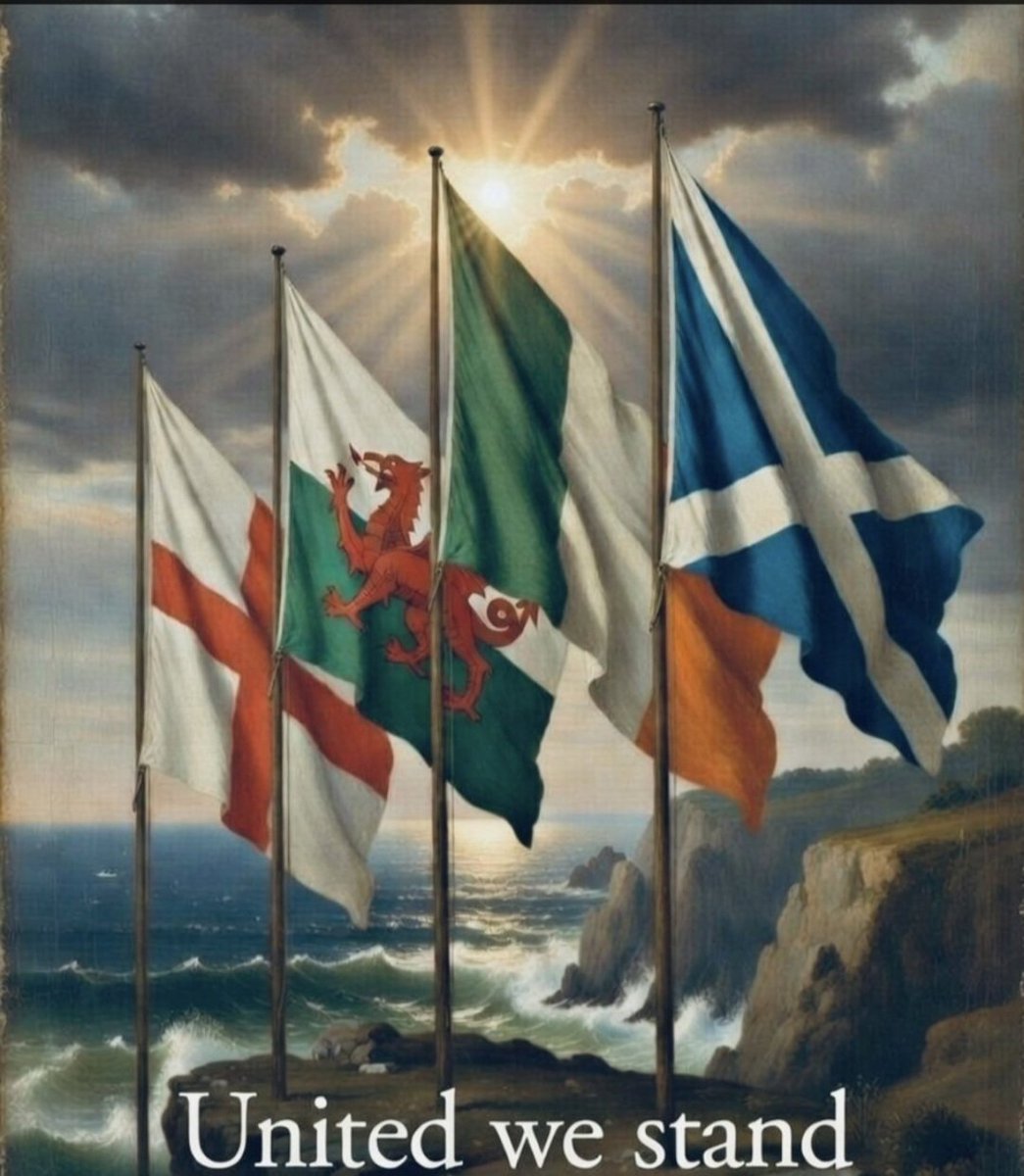 LEE BRITISH PATRIOT. tweet media