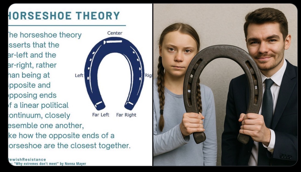 This is so totally friggin stupid. You should immediately be able to tell that this theory is bunk by this image. That’s your flag bearer for antisemitism on the far left? Greta Thunberg?