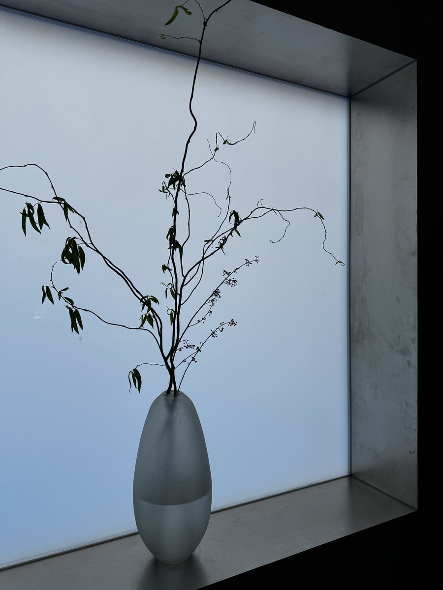 ぴよ🇹🇼 tweet media