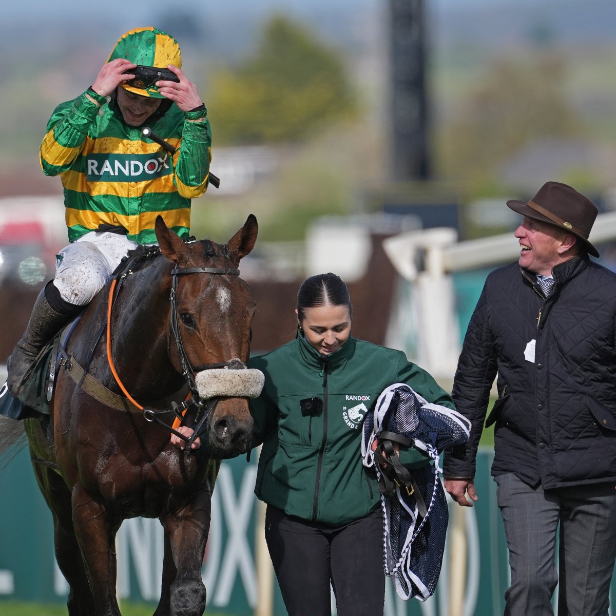 International Thoroughbred tweet media