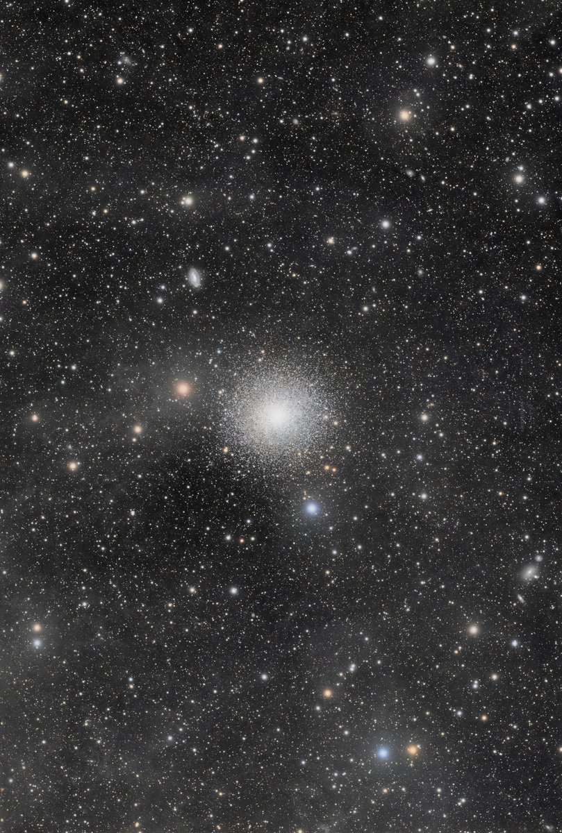 Aleix Roig tweet media