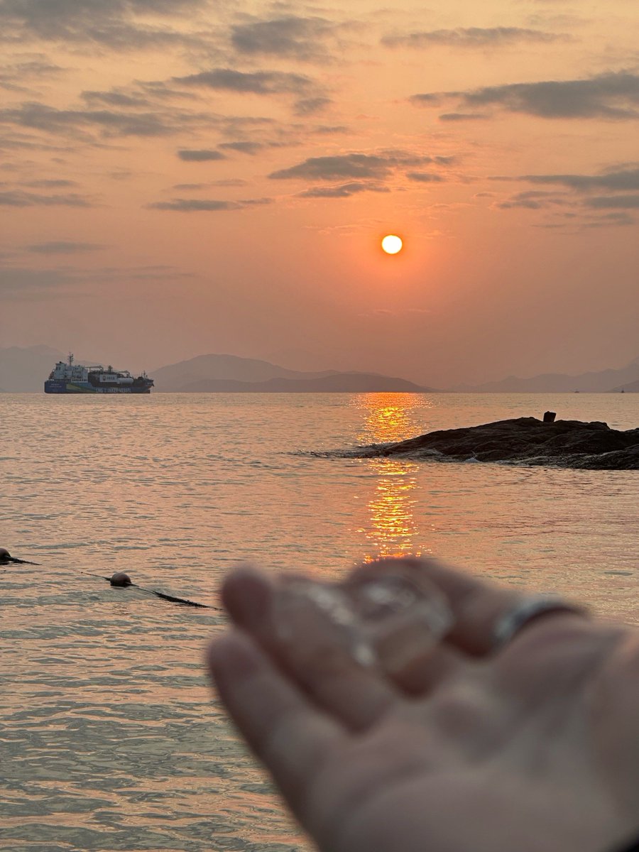 loulou7800 tweet media