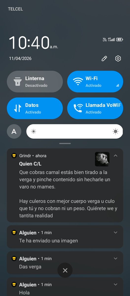 Alan Bi tweet media