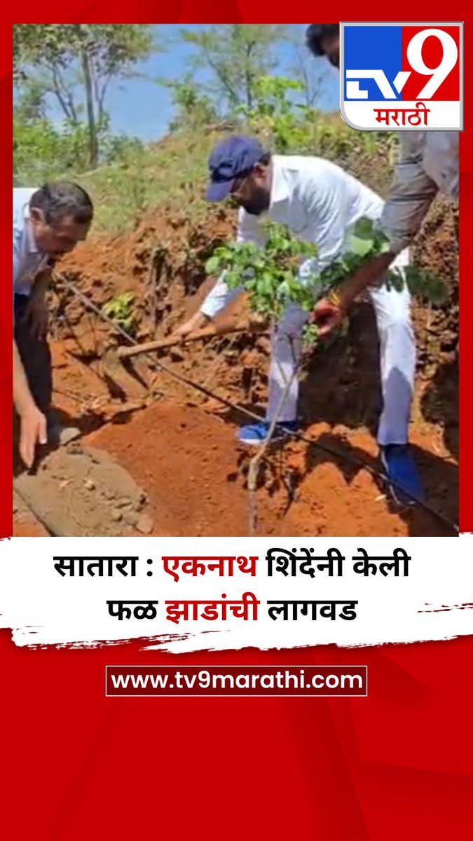 TV9Marathi's tweet image. सातारा : एकनाथ शिंदेंनी केली फळ झाडांची लागवड
tv9marathi.com/videos/short-v…
#satara #EknathShinde #dcm
