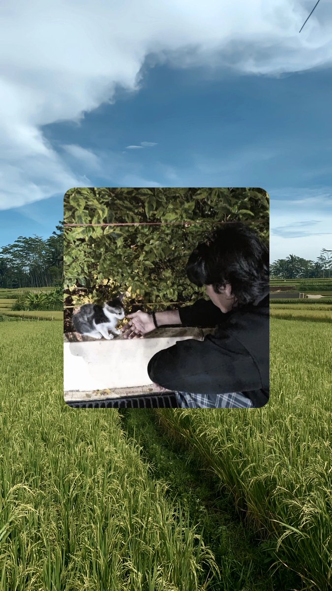 rijal〖Davidbeatt】 tweet media