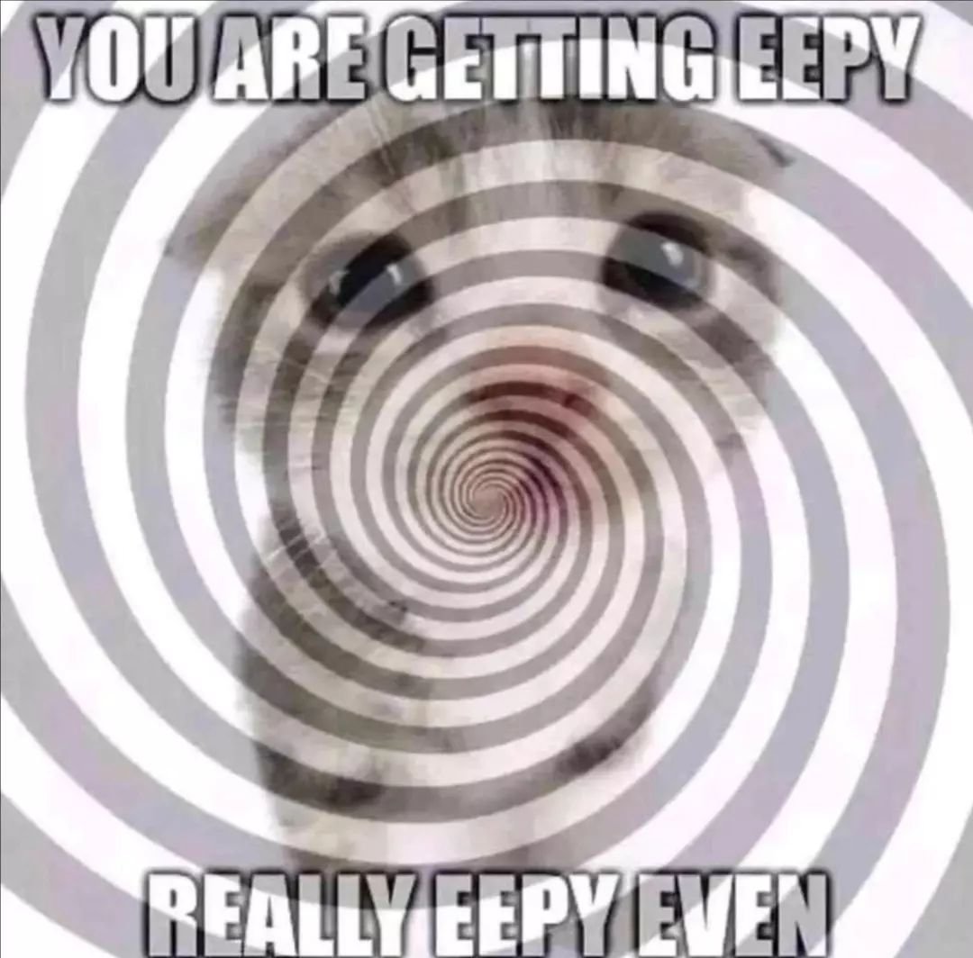 Punch Cat tweet media