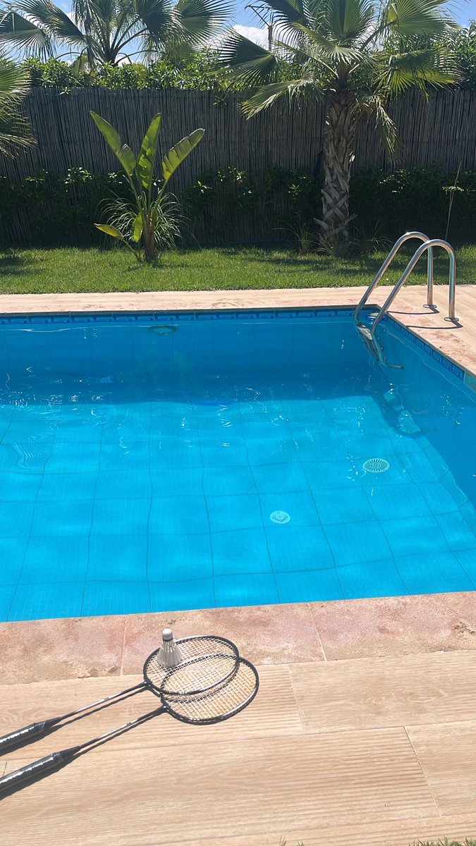 didi🇳🇱 tweet media