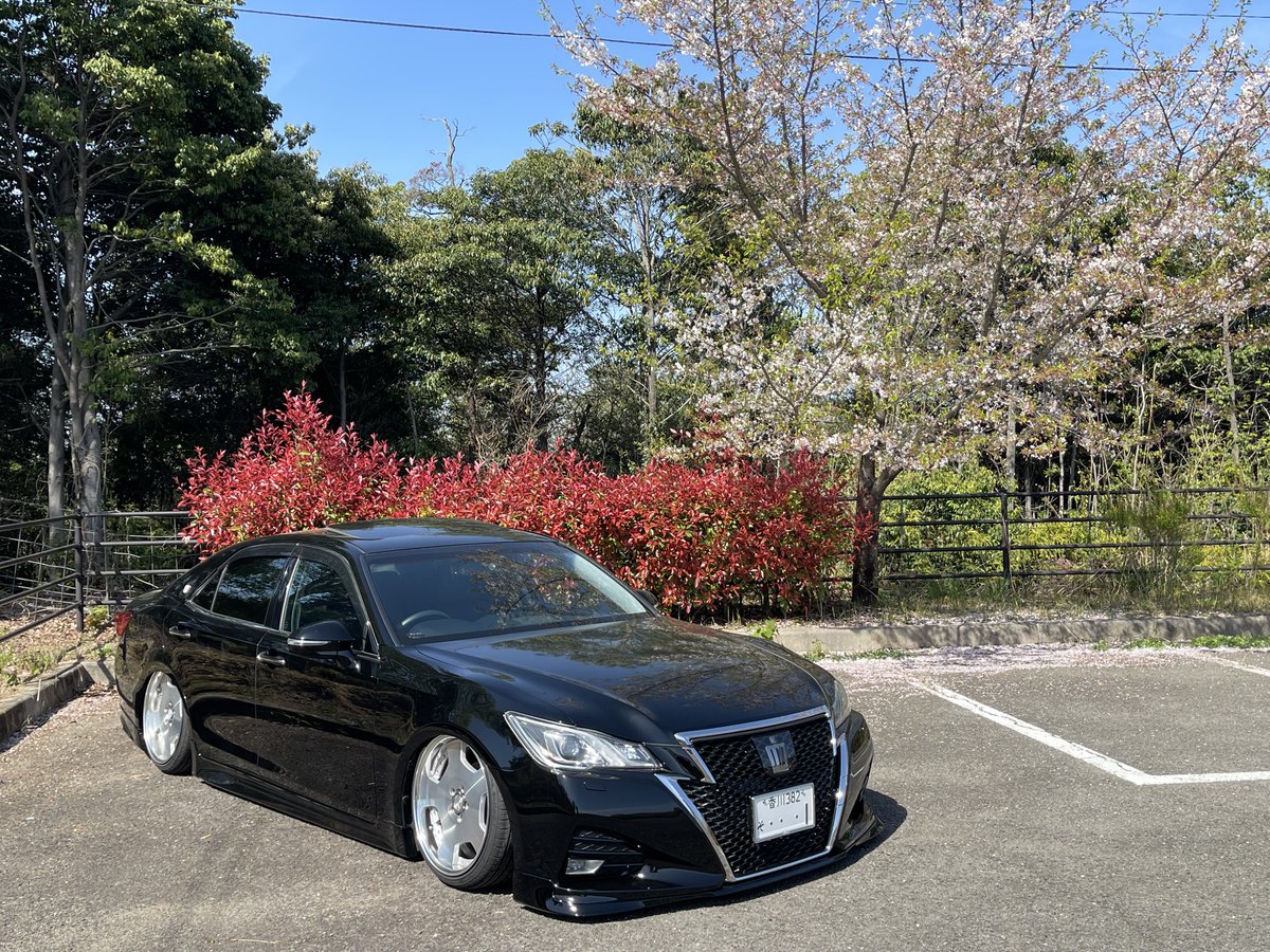 ほぼ散ってる🌸
