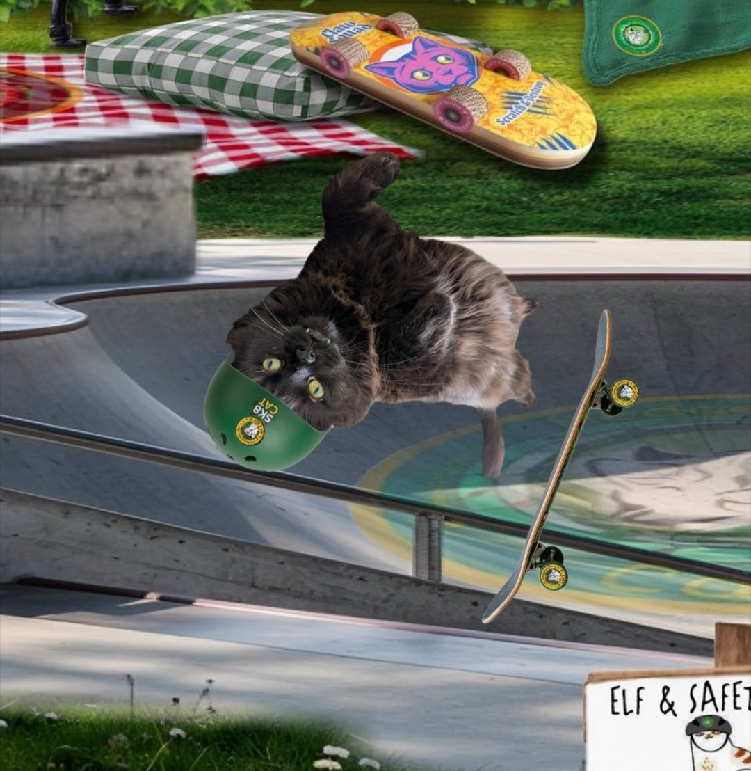 Jackson The Cat tweet media