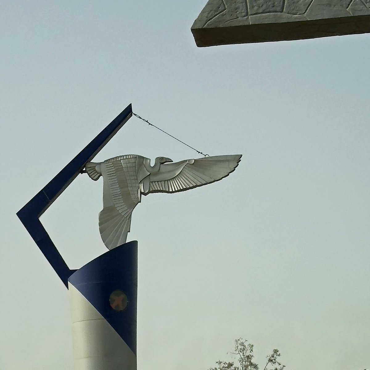 Cairo Kid 🌞 tweet media