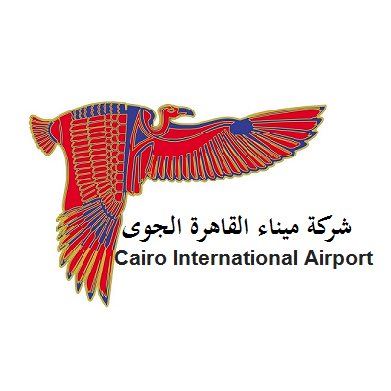 Cairo Kid 🌞 tweet media