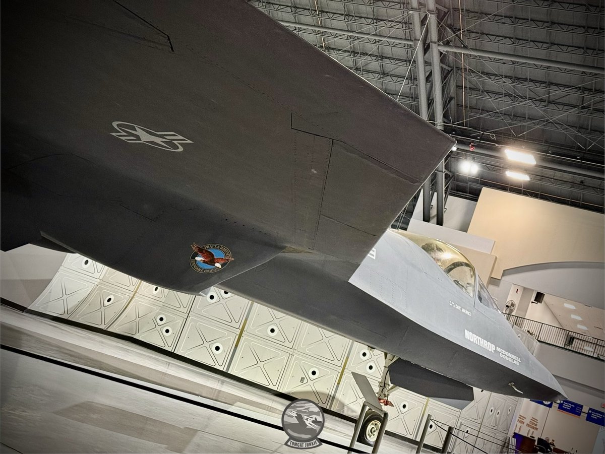 TomcatJunkie🏴‍☠️ tweet media