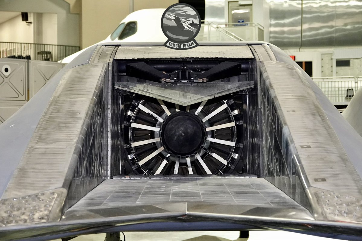 TomcatJunkie🏴‍☠️ tweet media