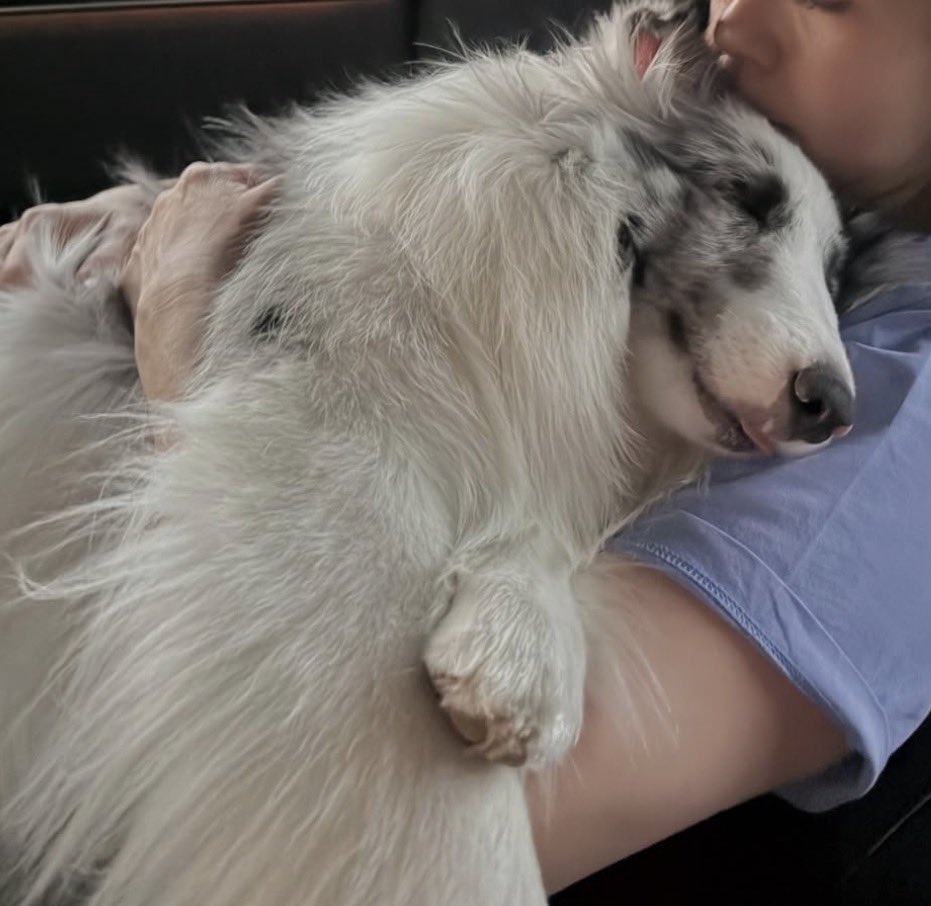 เสี่ยกิ้นหนูพี tweet media