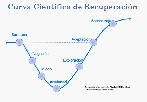 Luis Rebel © 🇮🇱 tweet media
