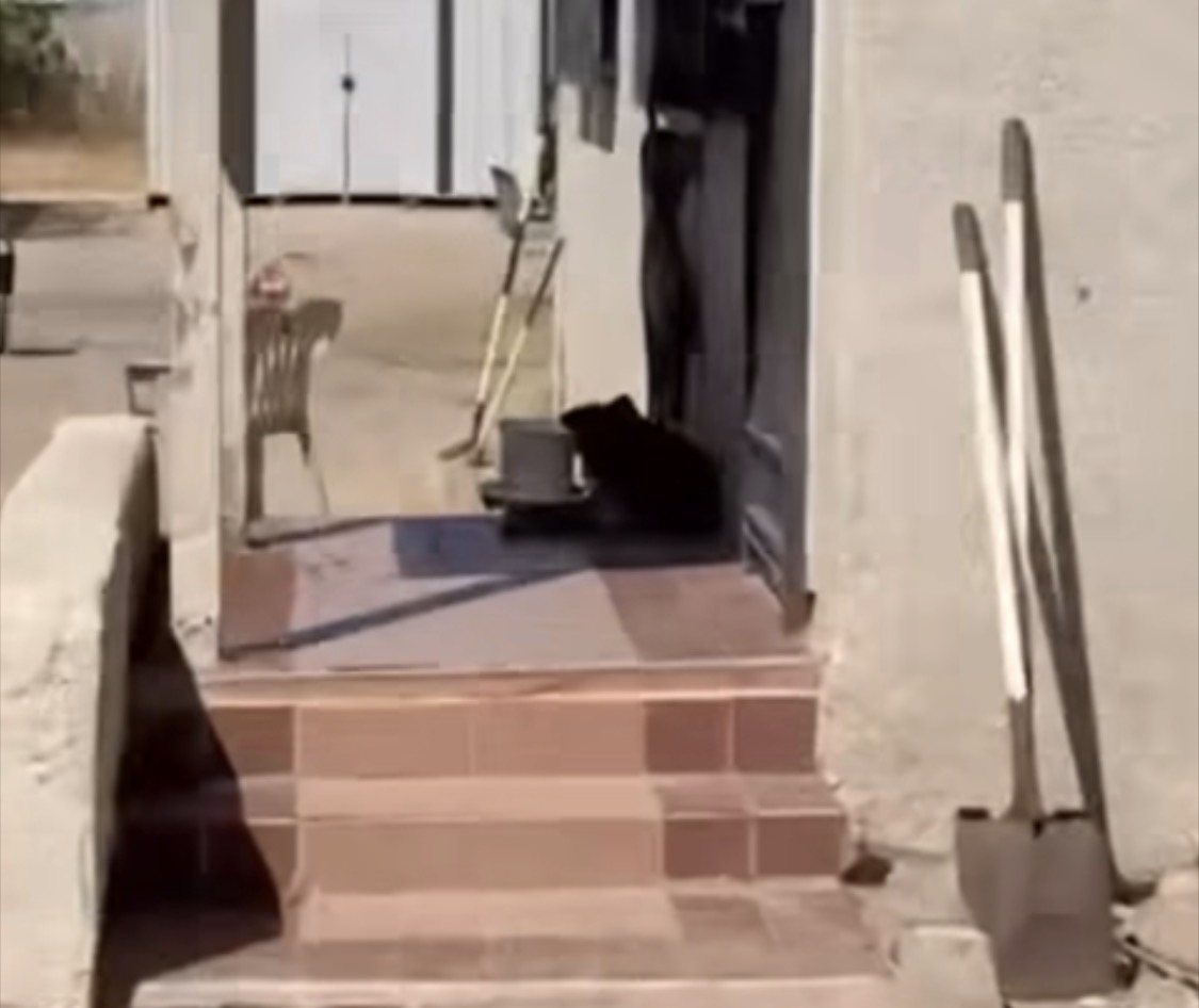 Fionaismybitch tweet media