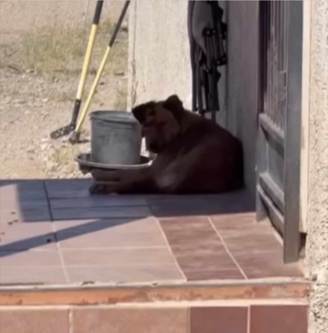 Fionaismybitch tweet media