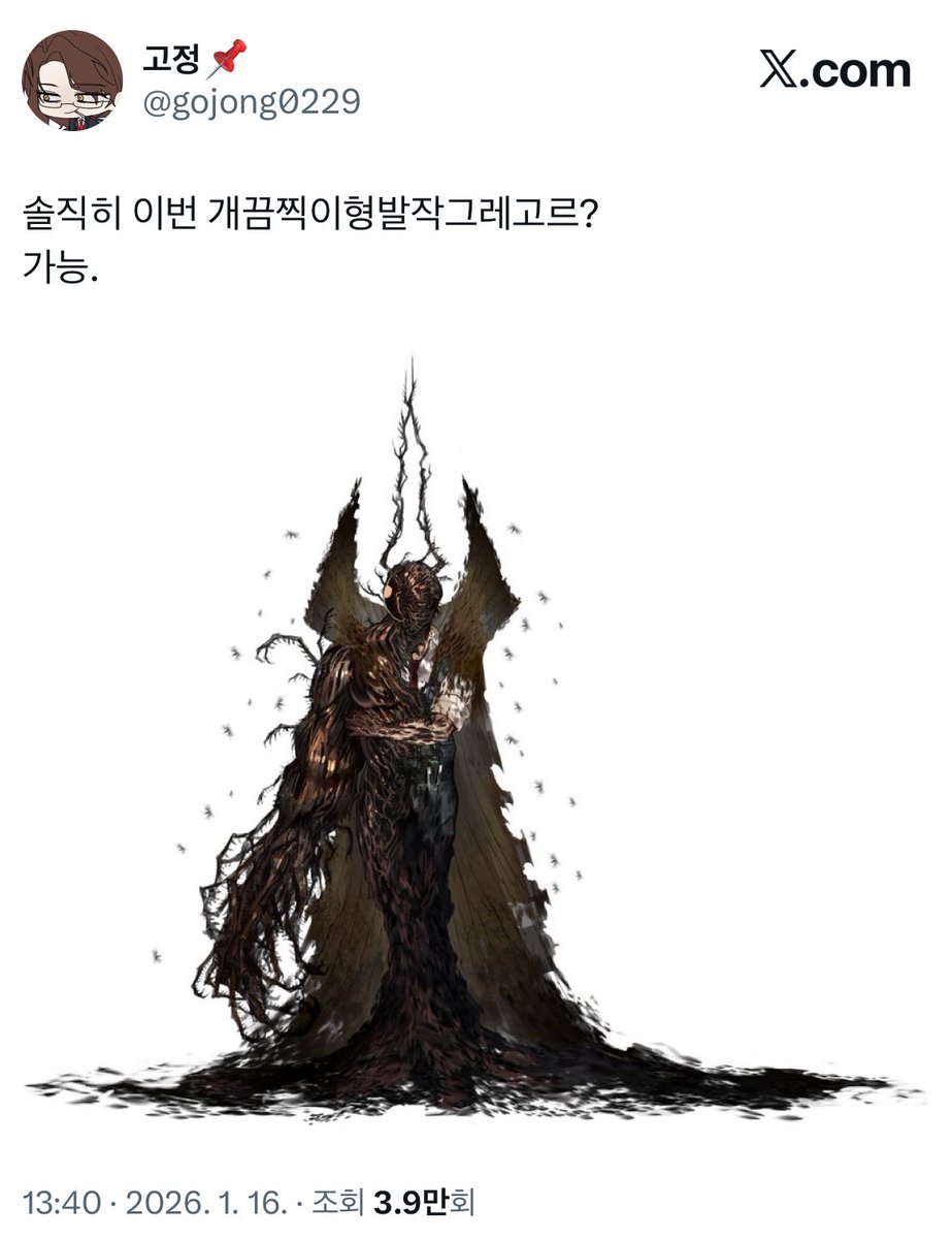 고정📌 tweet media