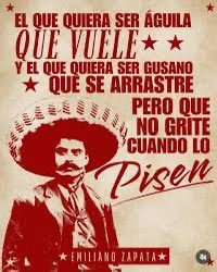 Humberto Esparza tweet media