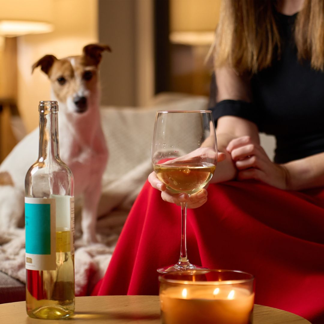 Remember, if the dog is there, you're not drinking alone! 😉🐾 
Cheers to all the furry family members on National Pet Day! 😺🍷🐶 #TheWineCellarGroup