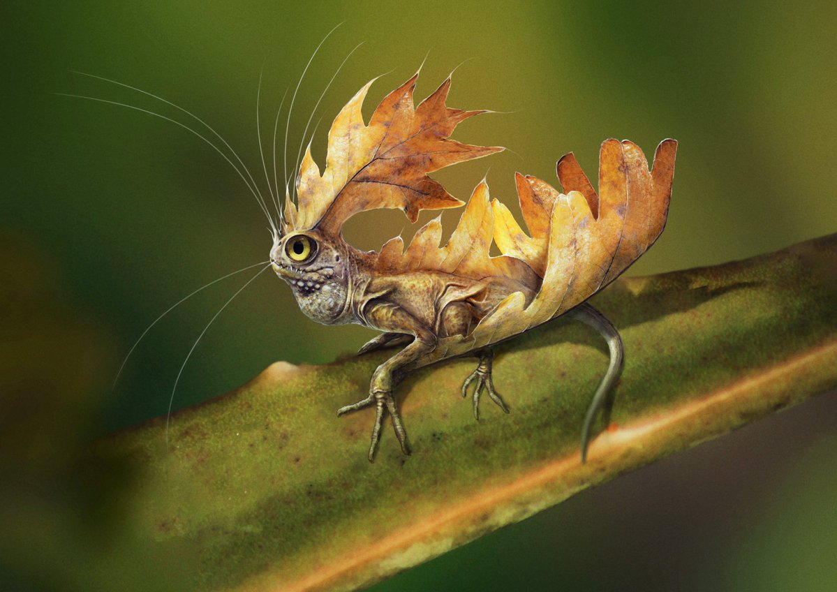 DragonsofWales tweet media