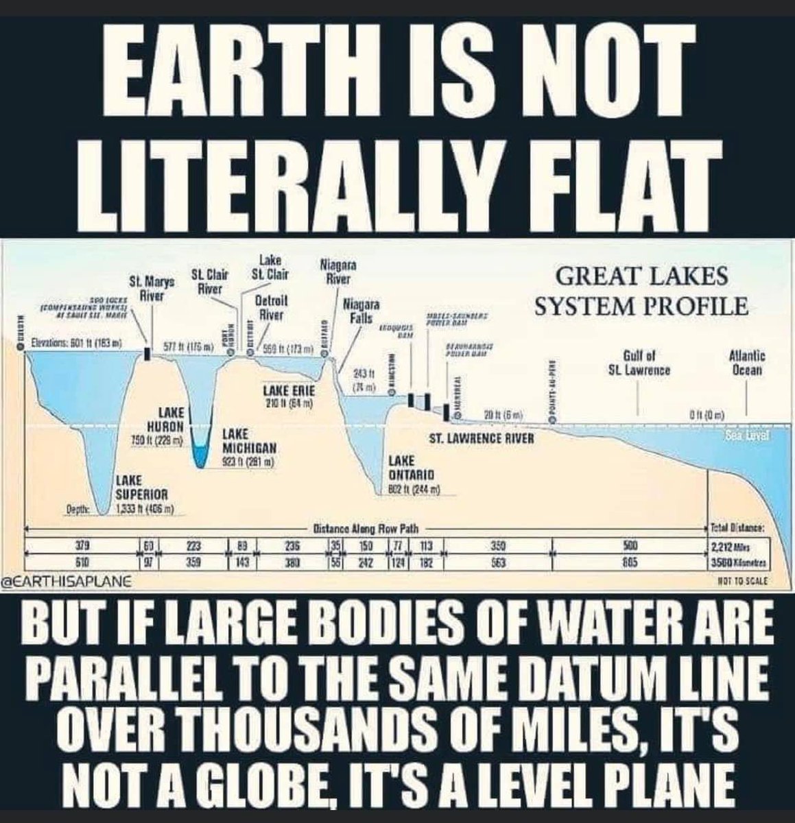 MAGA Nuggets tweet media