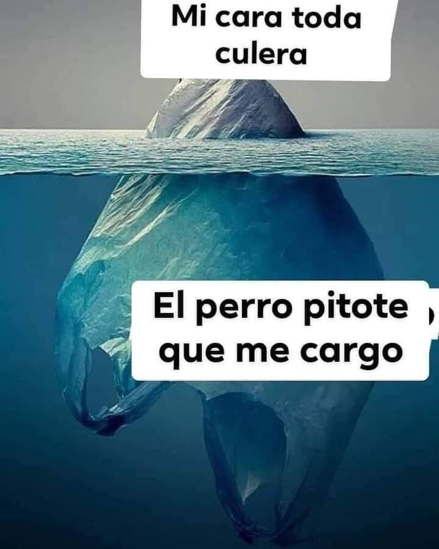 lau 🦄 tweet media