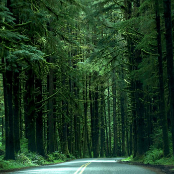 shoegazeralive's tweet image. plant cell - Evergreen Road (version 2026) 

shoegazeralive9.blogspot.com/2026/04/plant-…

#plantcell #shoegazejapanesestyle #2026 #bandcamp #single