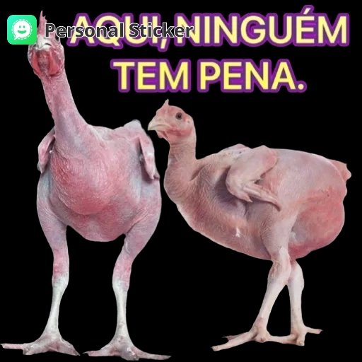 Montanhas do Vale tweet media