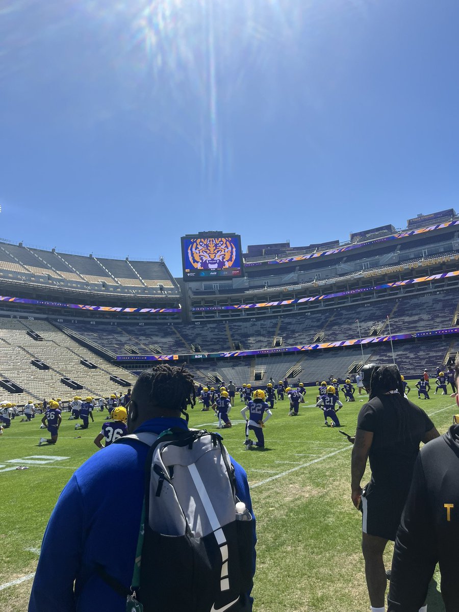 Aden “NuNu” Starling tweet media