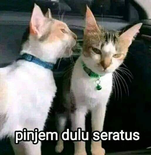 es krim coklat tweet media