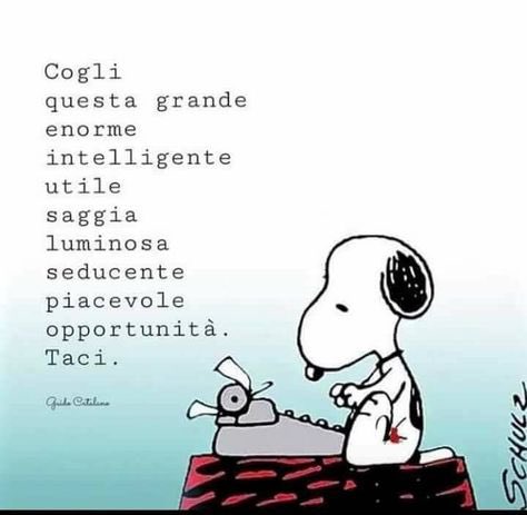 Fabio Ferri tweet media