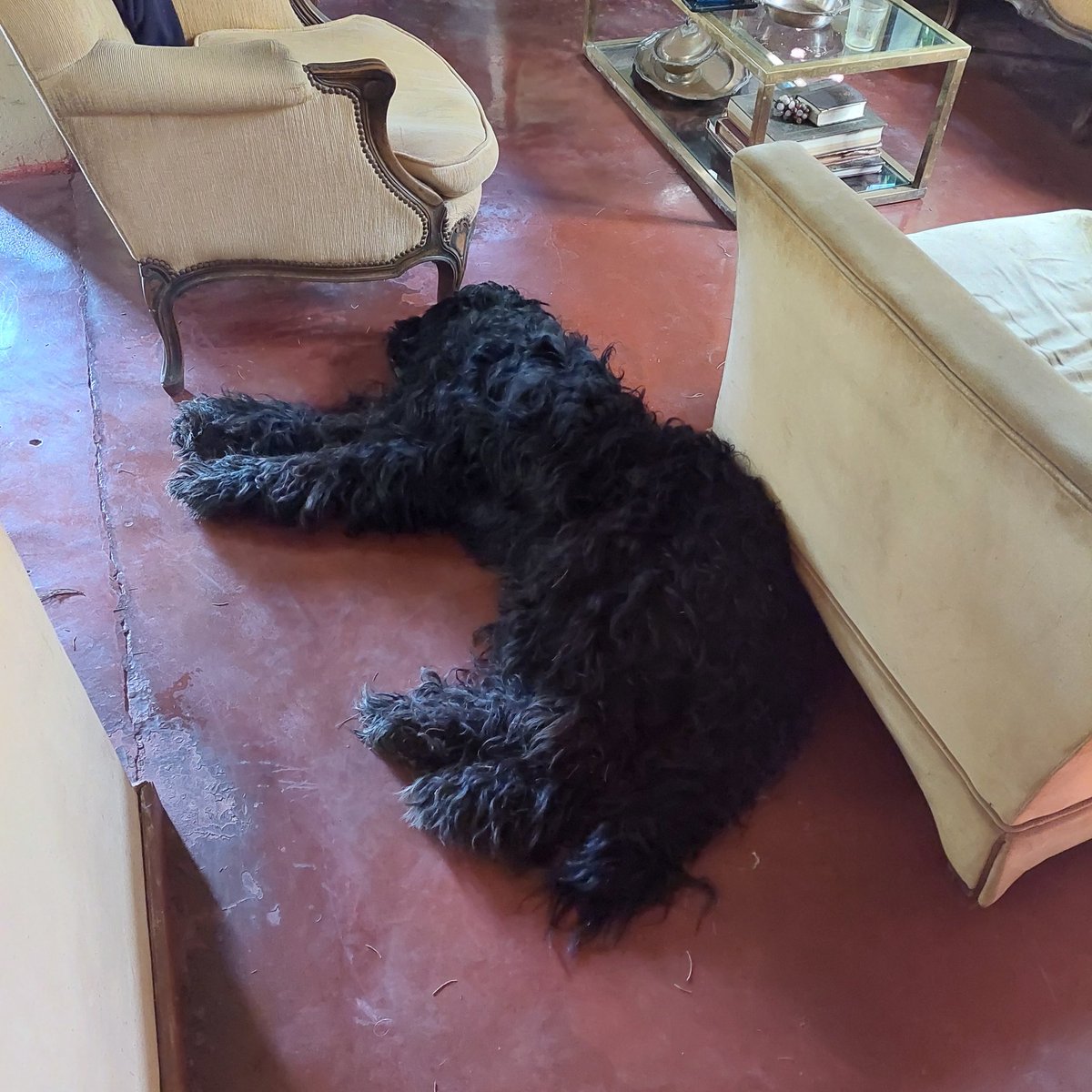 Remo Erdosain tweet media