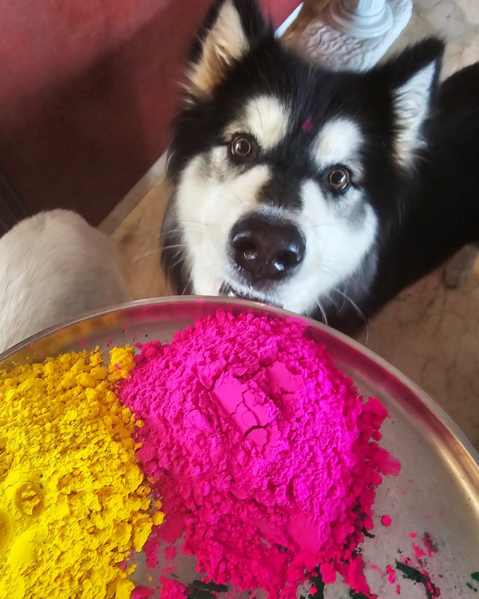 Priya Dutt tweet media