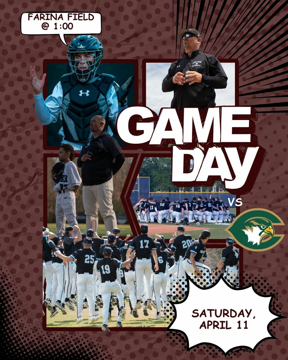 MSA Baseball tweet media