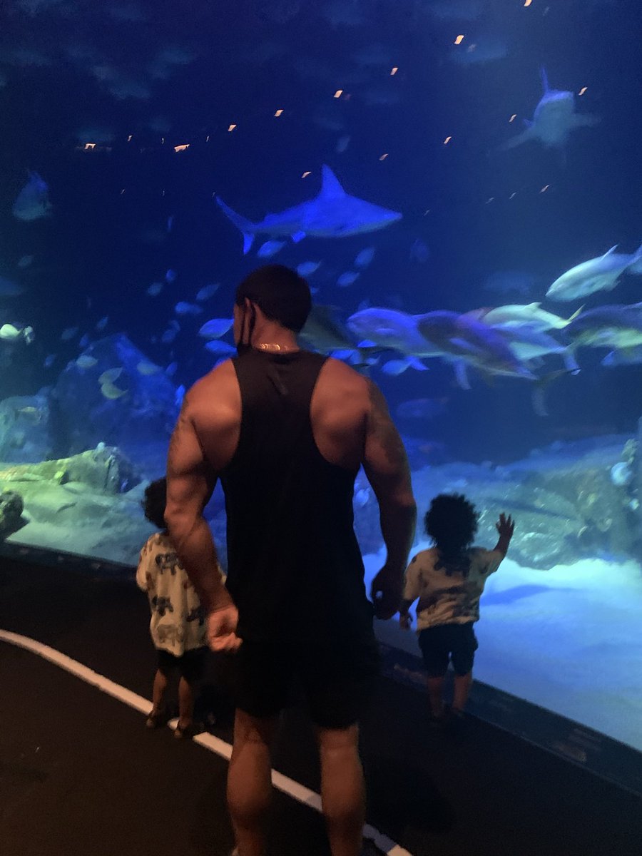 KJ Crypto tweet media