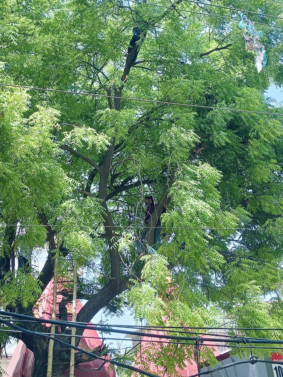 puvvnlvaranasi's tweet image. #Maintenance
#लक्ष्य_24X7_उपभोक्ता_सेवा
न.वि.वि.खंड–भेलूपुर वाराणसी के शंकुलधारा उपकेन्द्र के अंतर्गत #कार्मिकों_द्वारा ओवरहेड लाईन के तार को टच कर रहे पेड़ के डाल की कटाई की गई।
जिससे कोई ब्रेकडाउन या आग नहीं लगे।
@aksharmaBharat @ChairmanUppcl @UPPCLLKO
@PuVVNLHQ @mduppcl