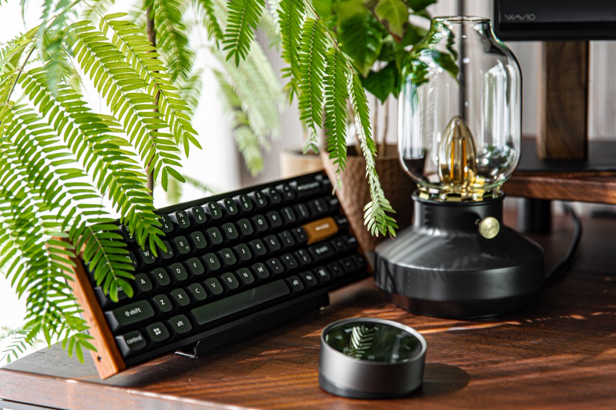 KeychronMK's tweet image. "For a 65% layout, it manages to feel spacious and functional without sacrificing desk real estate. Premium Keyboard must have."
★★★★★— Keychron K6 HE user review

📸@XxCode_BlackxX

#Keychron #KeychronSetup #KeyboardReview #CustomKeyboard #TechGear