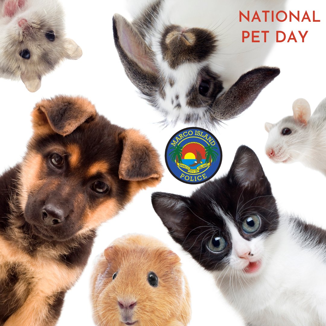 Marco Island Police Department tweet media