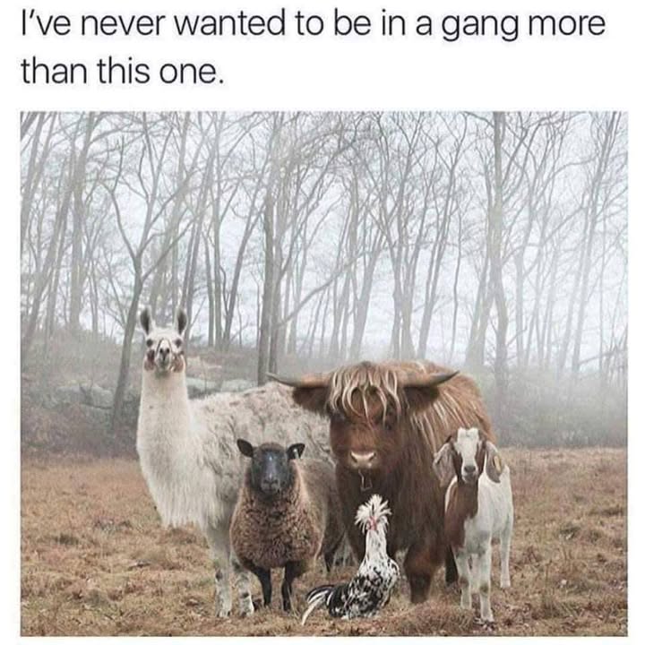 Eric Alper 🎧 tweet media