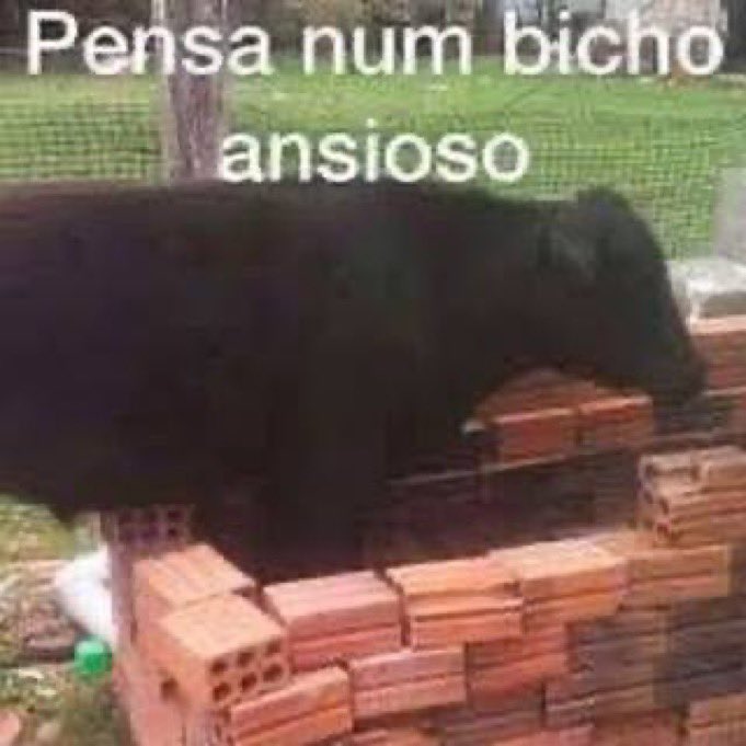 veronica tweet media