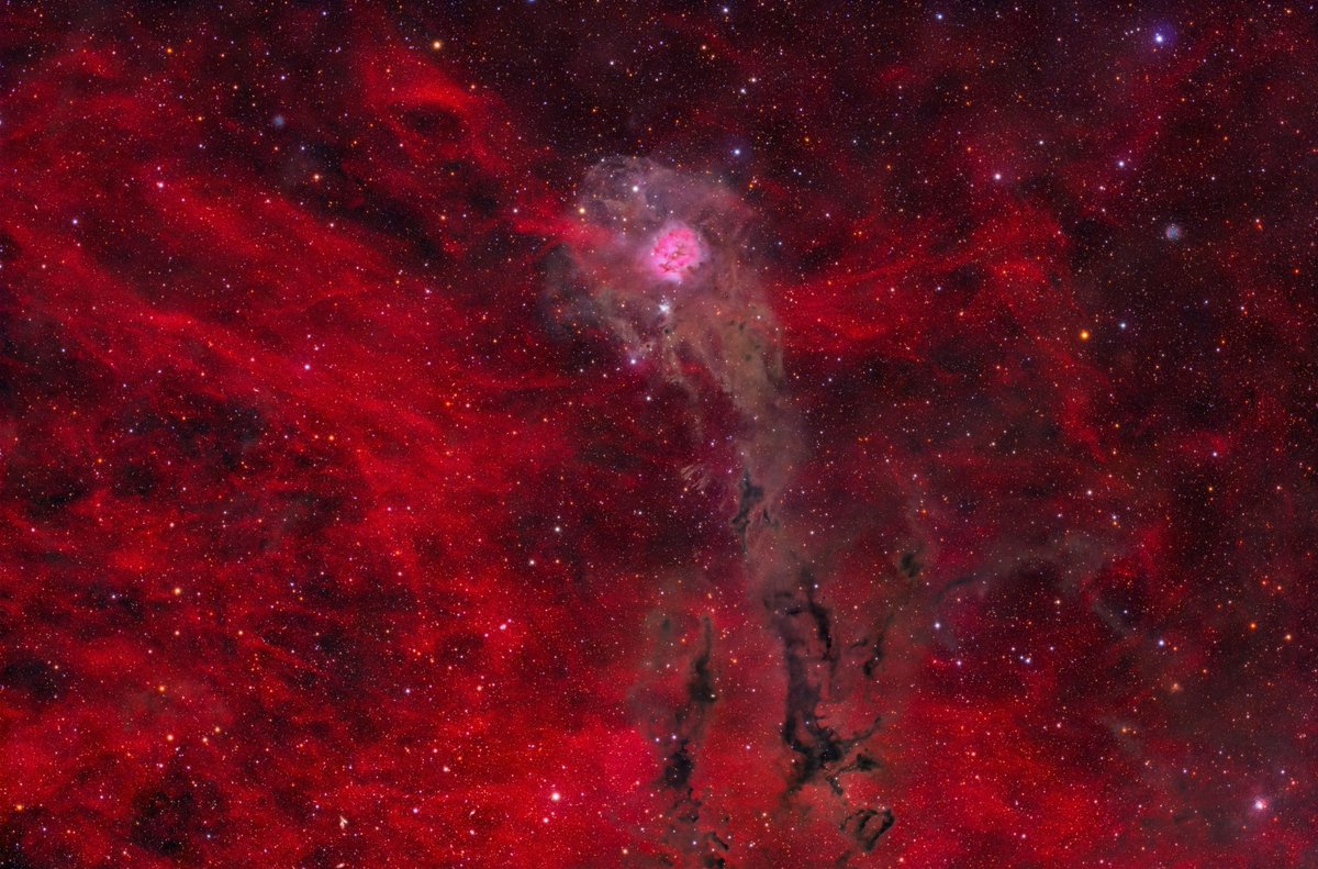 AstroBin_com's tweet image. Image of The Cocoon Nebula with a potential discovery, shared by Jakob Sahner, who used a telescope from AstroBin sponsor @TeleskopService: TS-Optics 70 mm f/5 Quadruplet.
More: astrobin.info/ts-optics
Image: astrobin.com/16mew3
Integration: 53h 20′
Thanks for looking!
S.