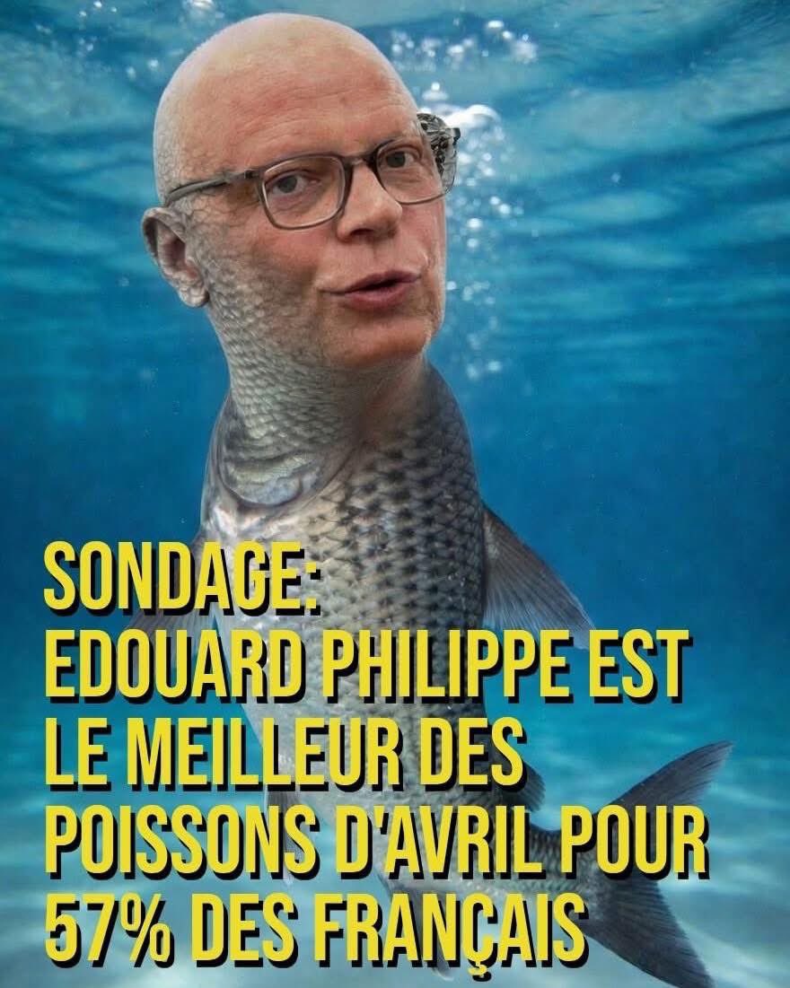 Gilets Jaunes tweet media