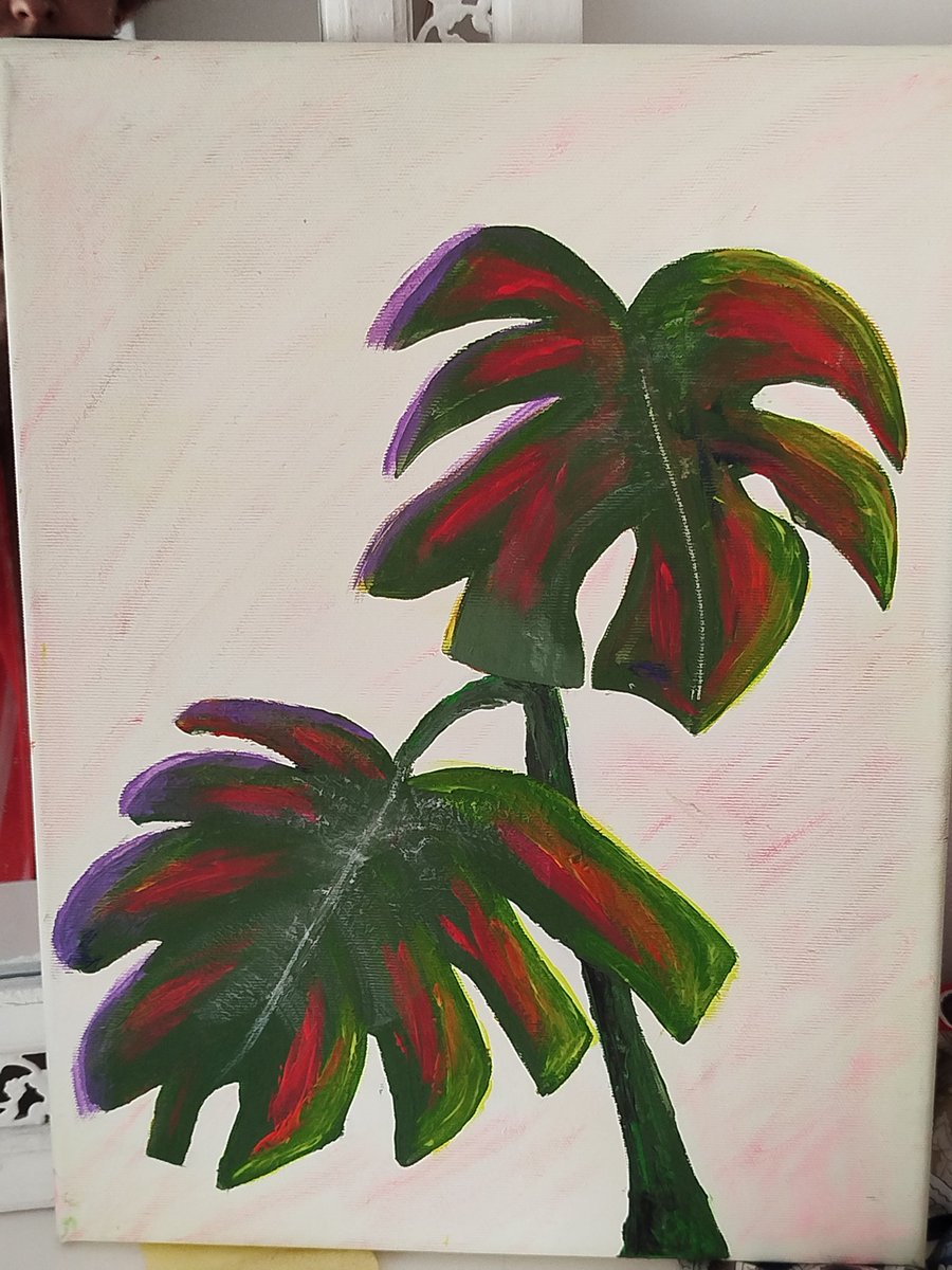 General Otty 🦦 tweet media