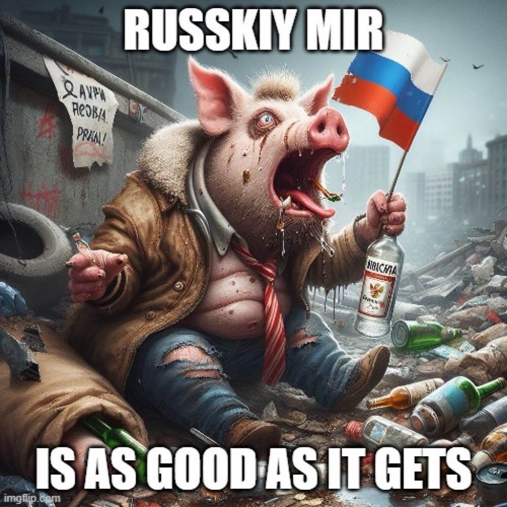 Генсек НАТО tweet media