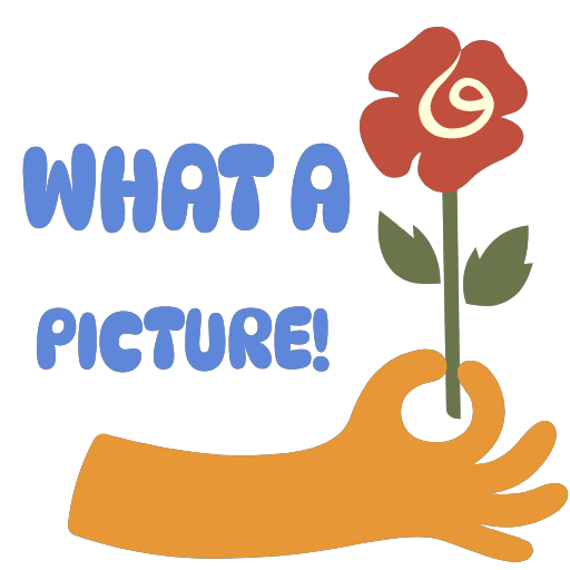 Dallas Mavericks PL🇵🇱 tweet media