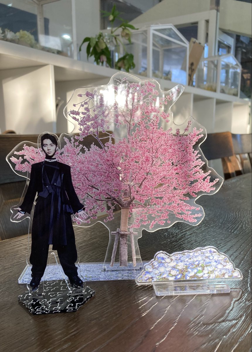 ただいま仙台 ＃羽生結弦 #七北田公園 ゆづ桜のアクスタも夕方に運良く