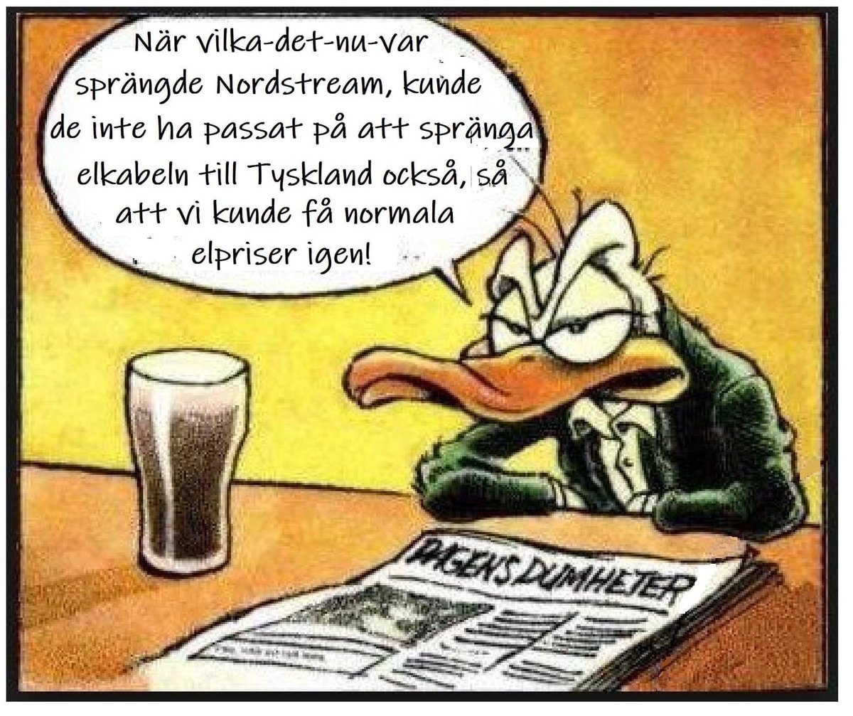 Carina S (@carinas62) on Twitter photo 