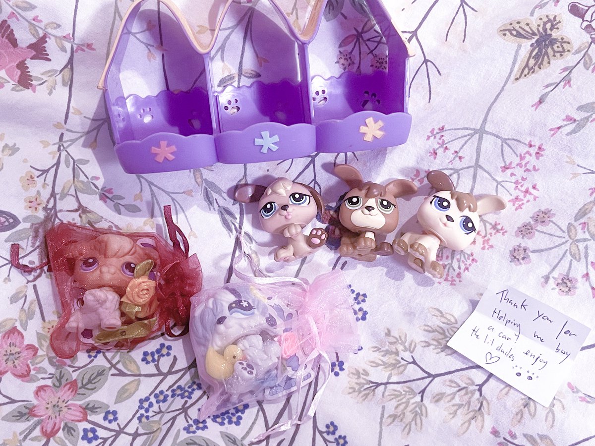 ꒰₊ ⋆♱ lynden 🐾 ꒱°. tweet media