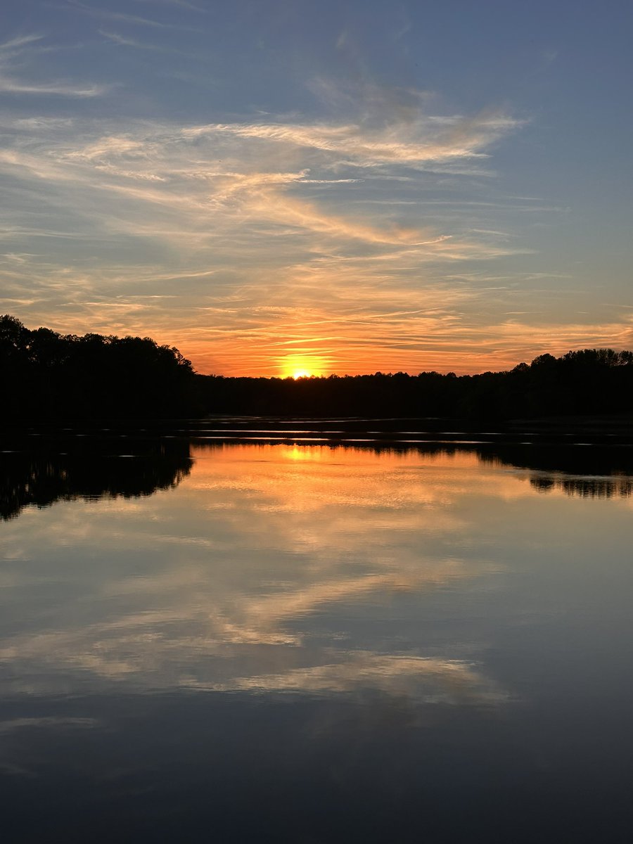 Maiv Lig Lauj tweet media